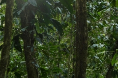 P1430800