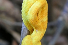 P1440228