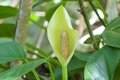 P1440244