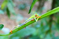 P1440391