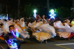 P1440646 (2)