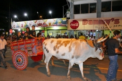 P1440664