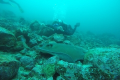 DCIM\100GOPRO\GOPR8374.