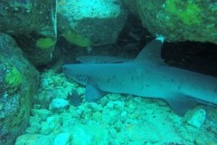 DCIM\100GOPRO\GOPR8386.