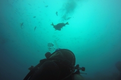 DCIM\100GOPRO\GOPR8530.
