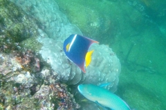 P1020150 (2)