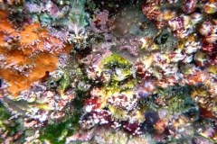 P1020200 (2)