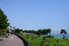 P1010725