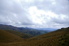 P1390747