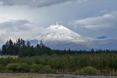 P1390787