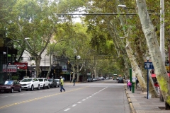 P1000710