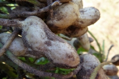 P1000746