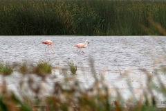 P1350107