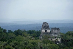 P1450364