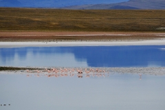 P1060669