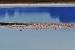 P1060672