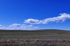 P1060698